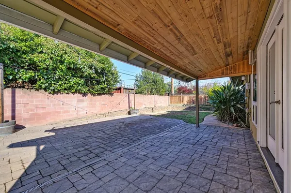 a view of a backyard