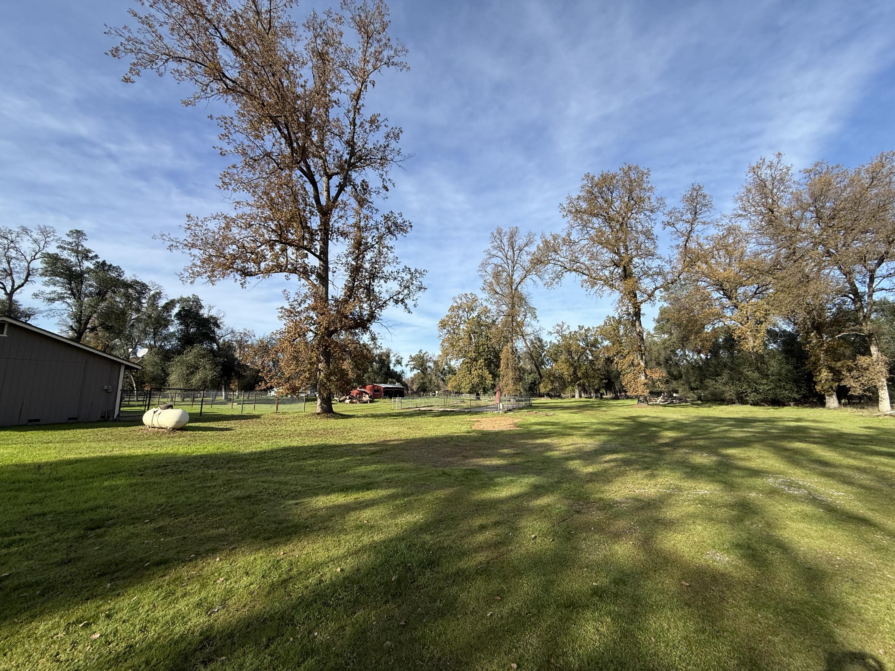17140 Evergreen Road Cottonwood, CA 96022 - Photo 27 of 32 a big yard with lots of trees in the background