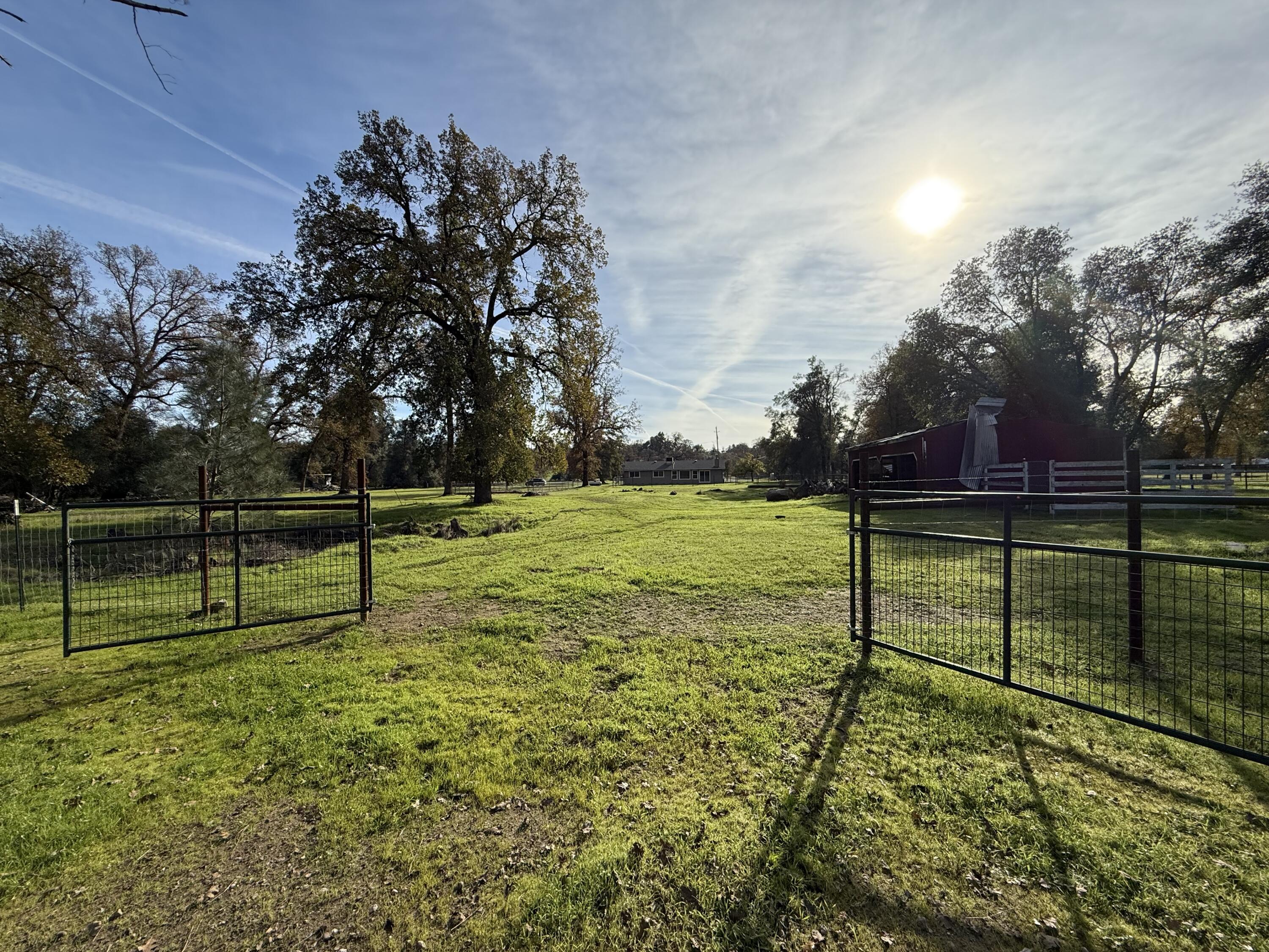 17140 Evergreen Road Cottonwood, CA 96022 - Photo 29 of 32 a view of a park with large trees