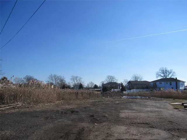 a view of a dry yard with trees
