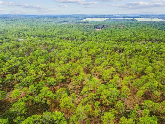 $598,000 | 16453 Pawnee Drive, Brooksville, FL 34601