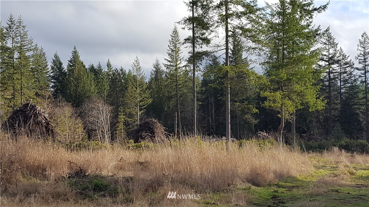 1382 Centralia Alpha Road Chehalis, WA 98532 - Photo 4 of 10