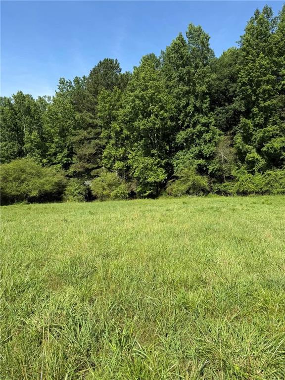 1206 Thompson Road Dawsonville, GA 30534 - Photo 20 of 28