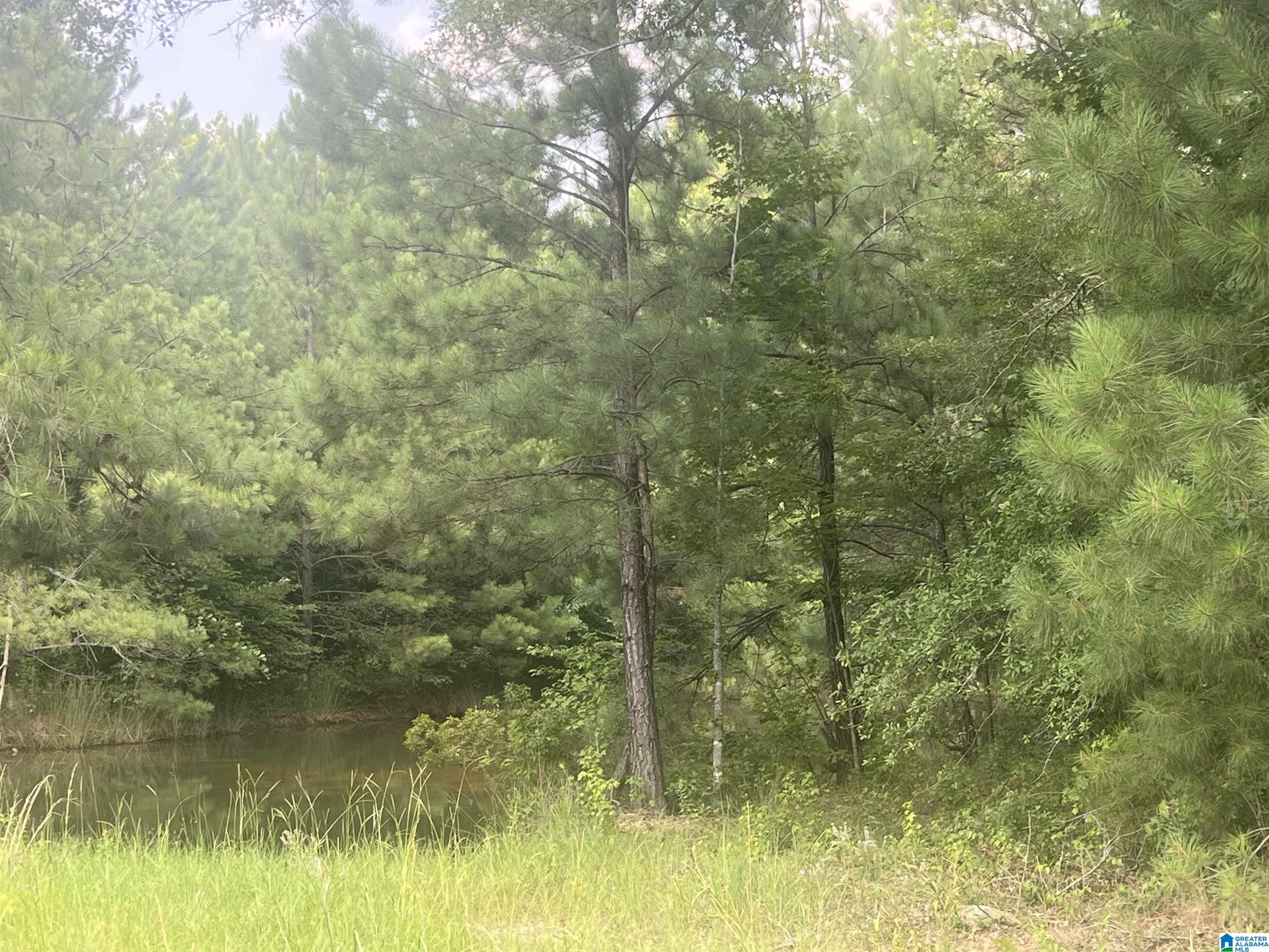 0 Mat Moore Road Lawley, AL 36793 - Photo 2 of 5