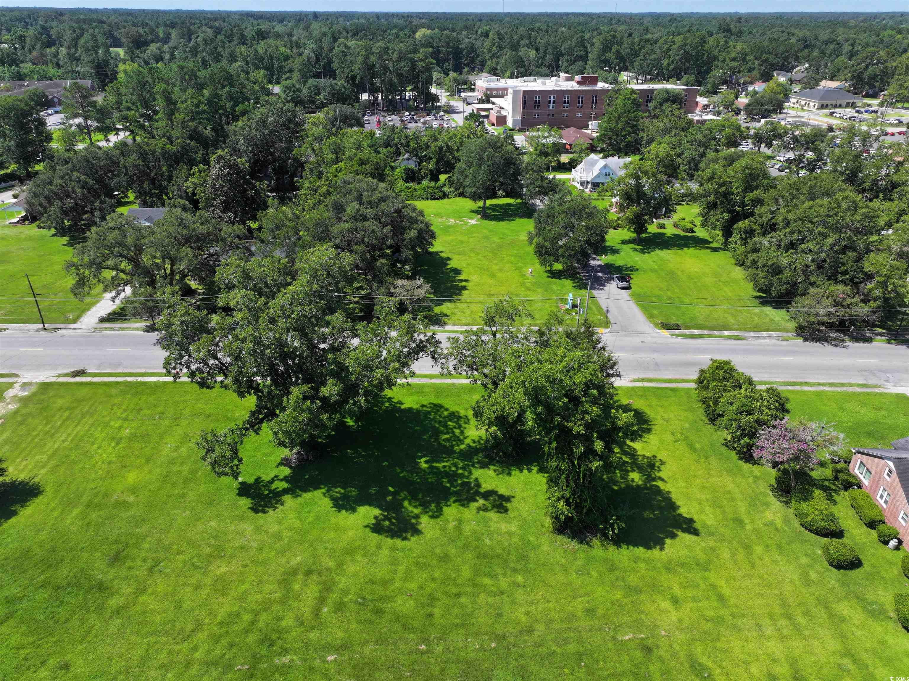 Lot 1-2 Main Street Loris, SC 29569 - Photo 18 of 23 Gallery Image 18