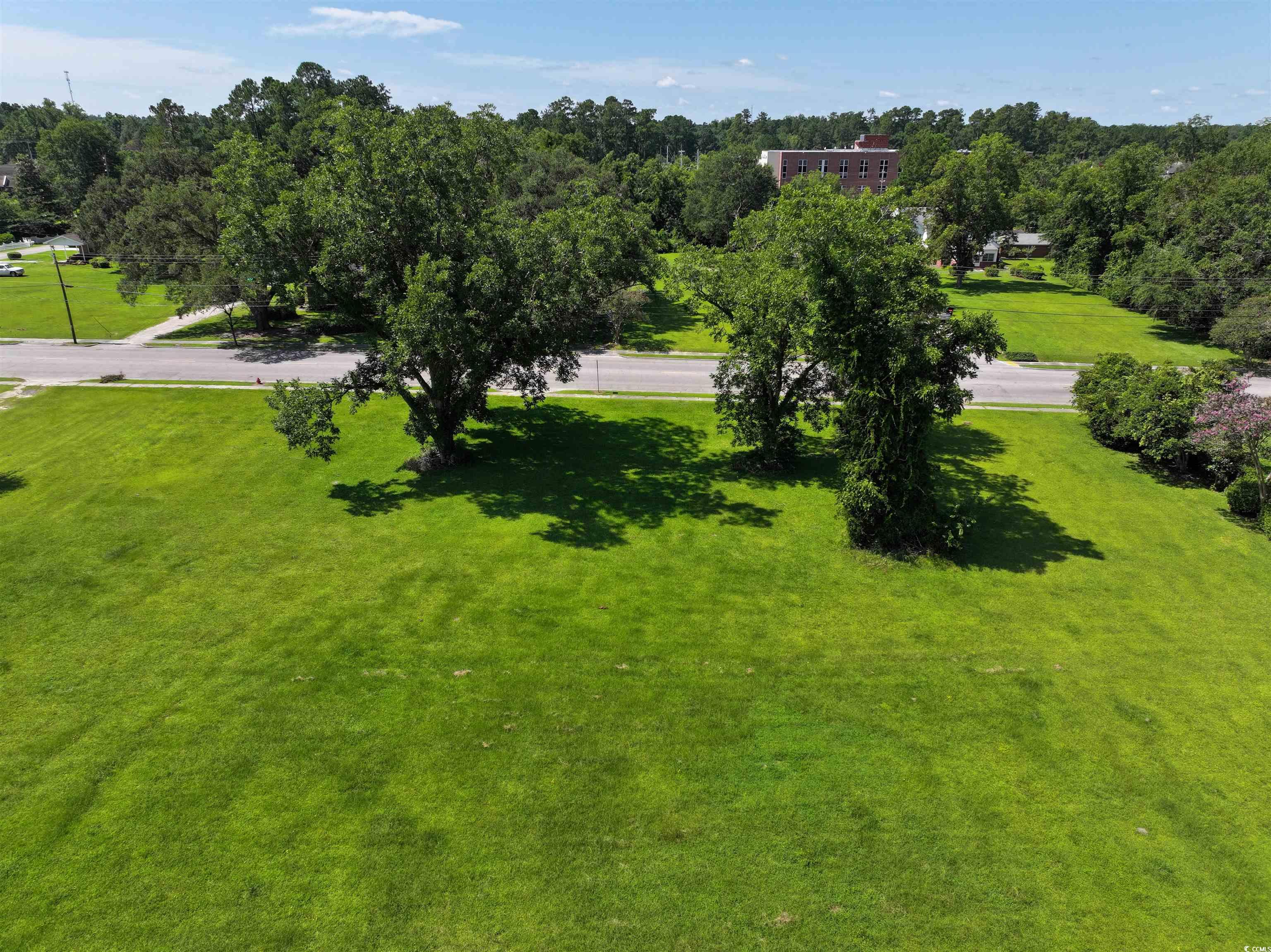 Lot 1-2 Main Street Loris, SC 29569 - Photo 19 of 23 Gallery Image 19