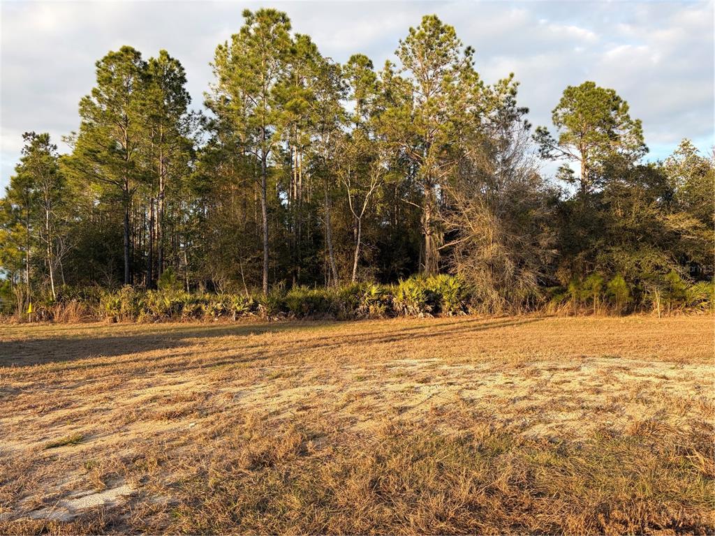 Oil Well Road Clermont, FL 34714 - Photo 8 of 14 Gallery Image 8