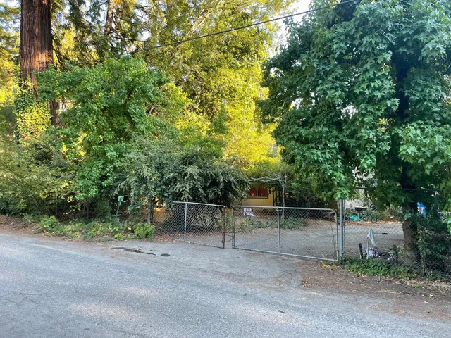 a backyard of a house with trees and plants