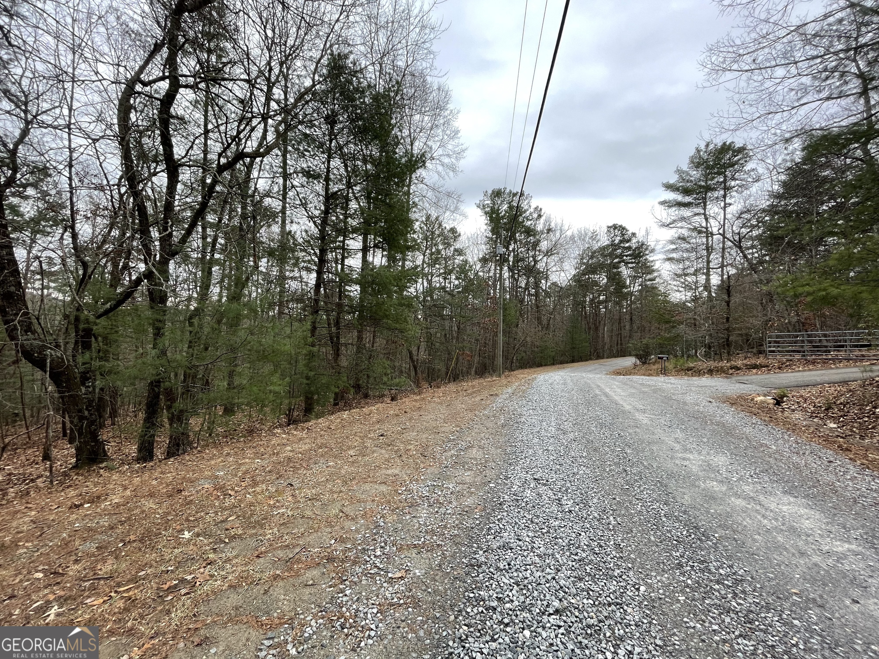 0 Squirrel Hunting Road Ellijay, GA 30536 - Photo 1 of 1 a backyard of a house with large trees
