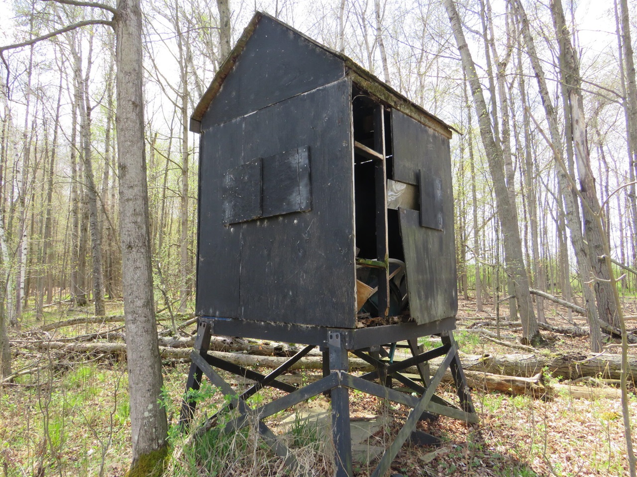 Peoples Road Blanchard, MI 49310 - Photo 16 of 26