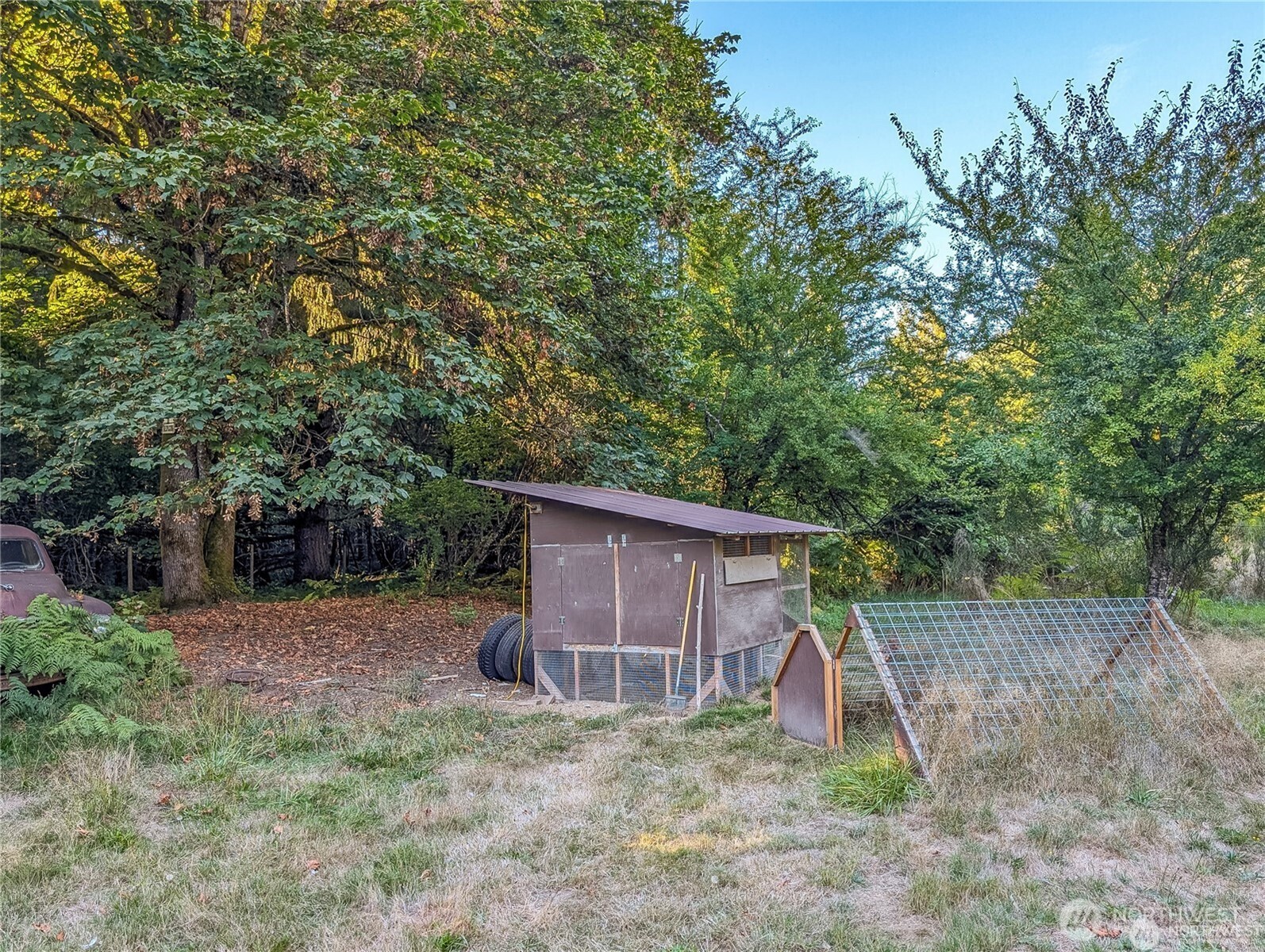 202 Kauer Road Randle, WA 98377 - Photo 10 of 17 Gallery Image 10