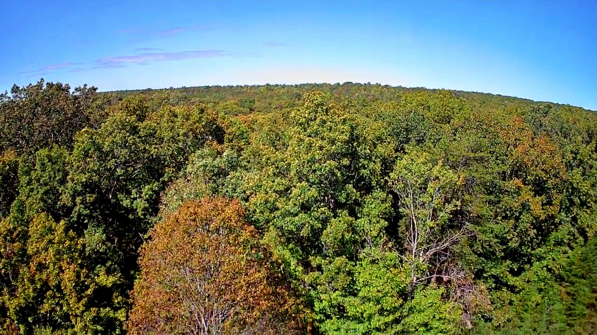 0 Ridge Wood Lane Spencer, TN 38585 - Photo 24 of 28 Gallery Image 24
