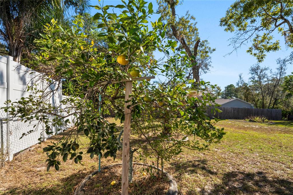 9013 Nakoma Way Weeki Wachee, FL 34613 - Photo 48 of 68