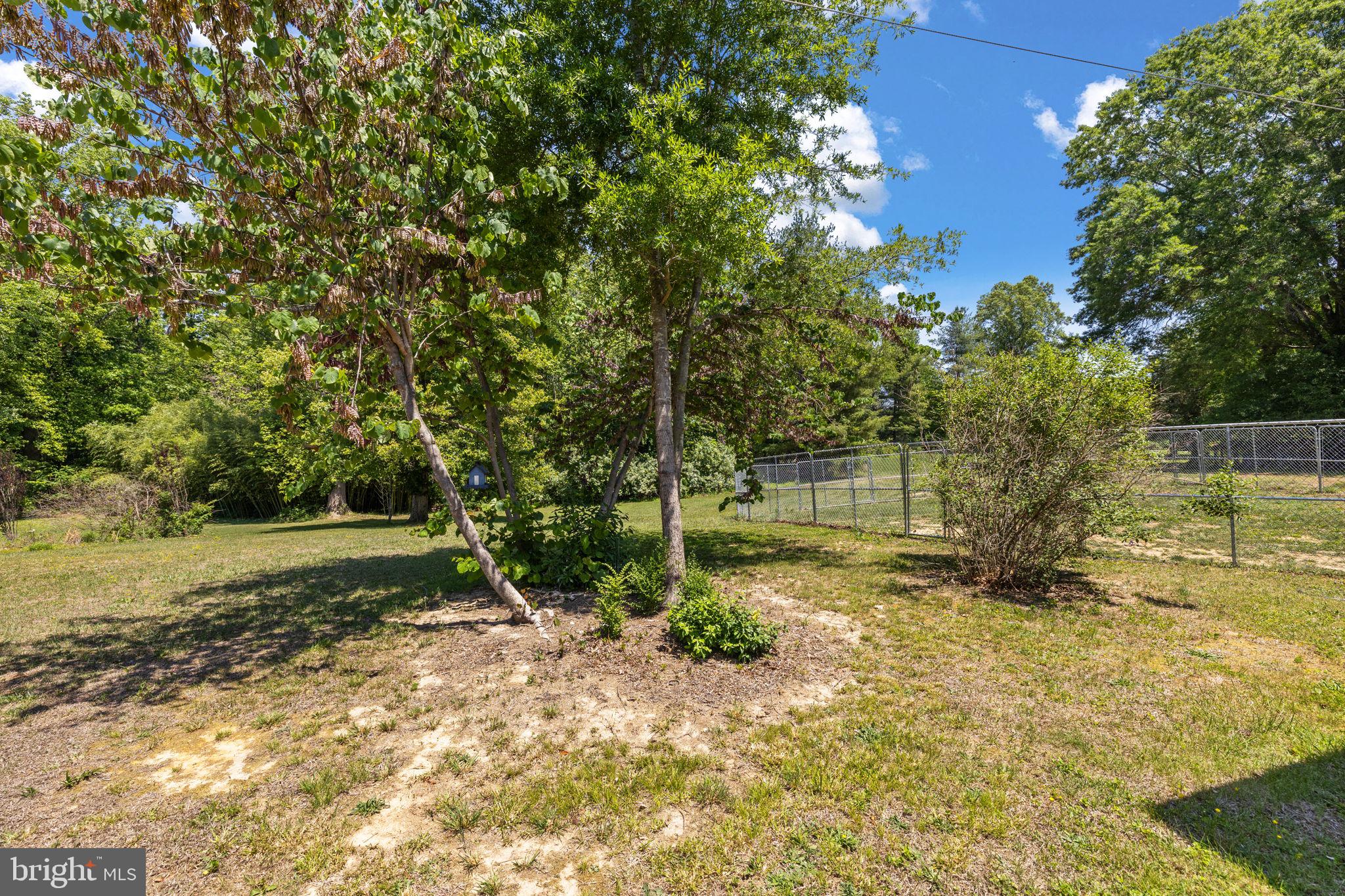 17195 Oakshade Road Orange, VA 22960 - Photo 24 of 31 Lush green space with vibrant trees.