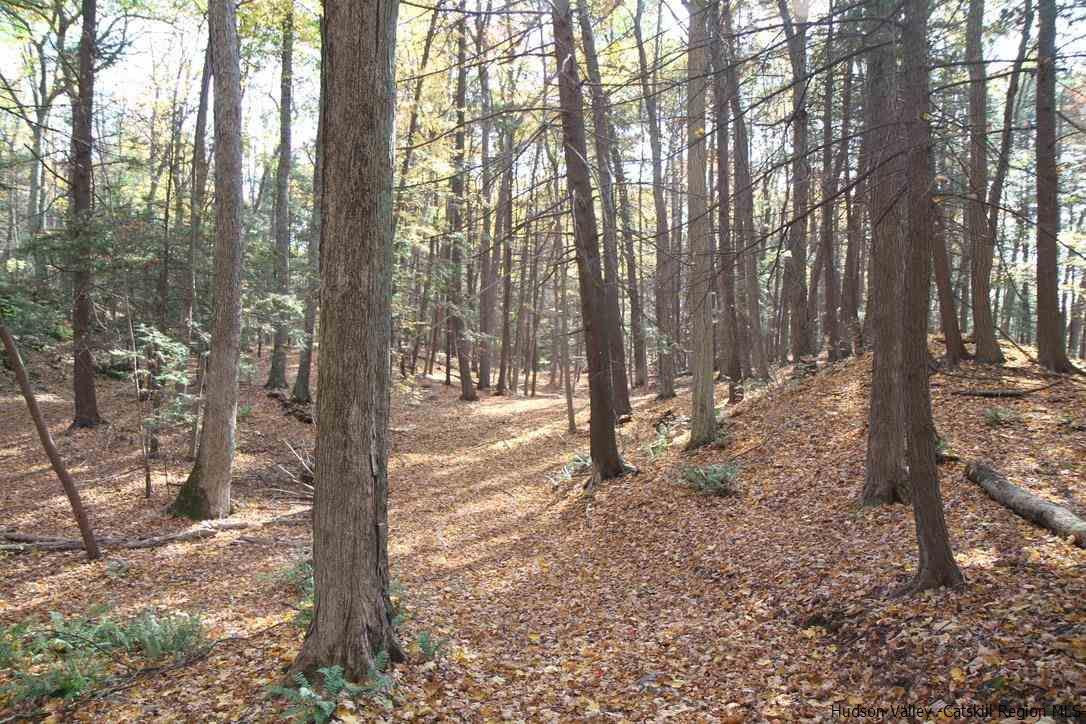 11-13 Arrowhead Rdg Road Saugerties, NY 12477 - Photo 4 of 35 Photo 4