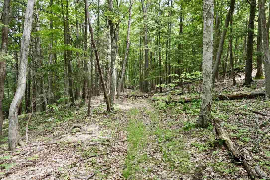 11-13 Arrowhead Rdg Road Saugerties, NY 12477 - Photo 9 of 35 Photo 9