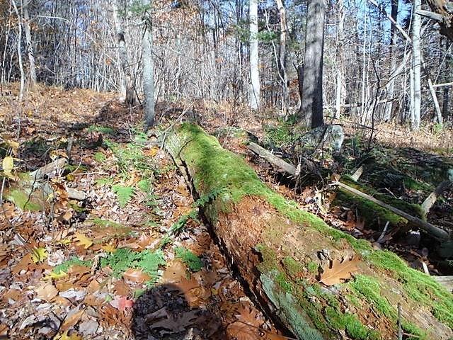 Lot 40-3 River Road Leeds, ME 04263 - Photo 3 of 4 Photo