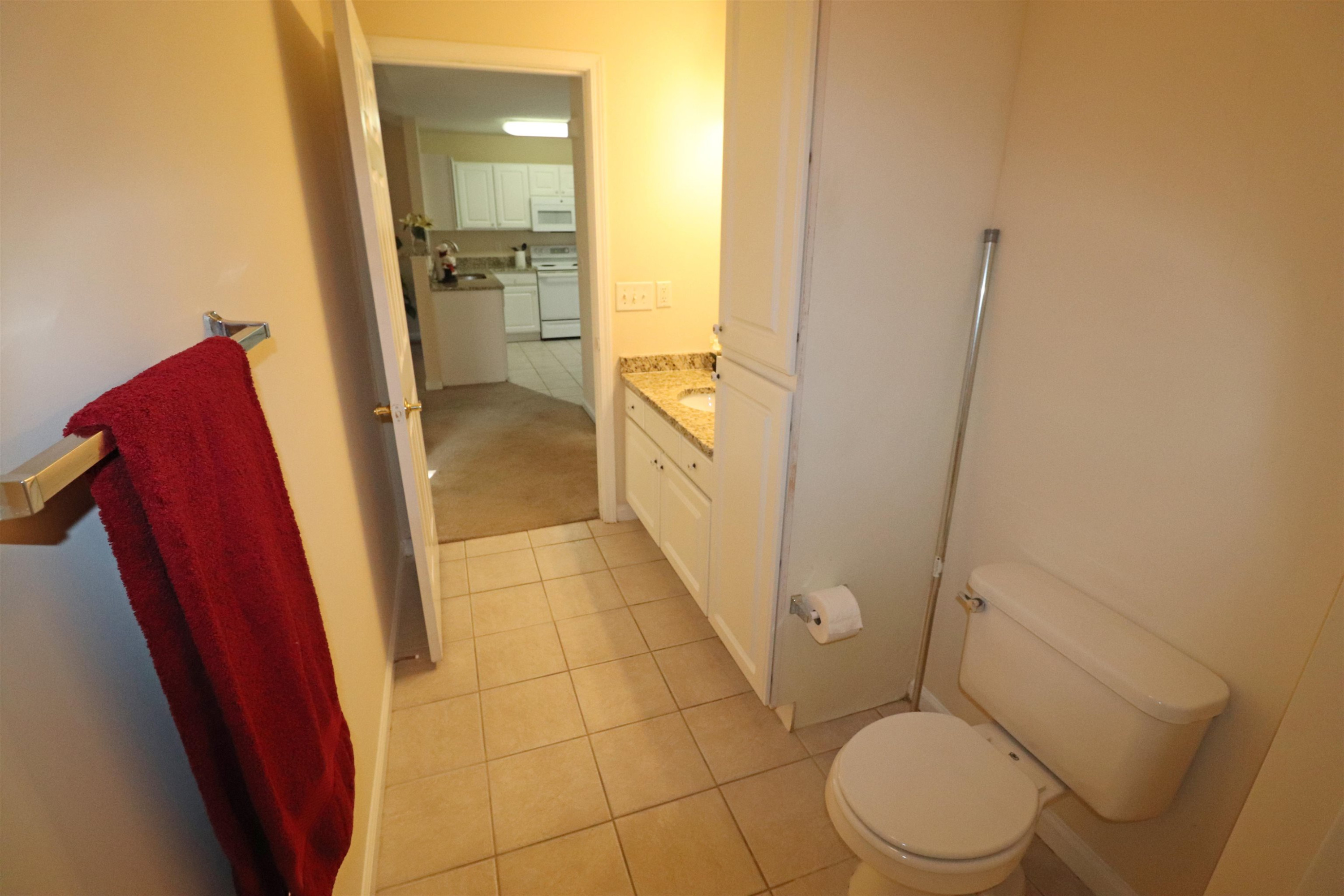 11371 Involute Place, Unit 103 Raleigh, NC 27617 - Photo 23 of 34 a bathroom with a sink and toilet