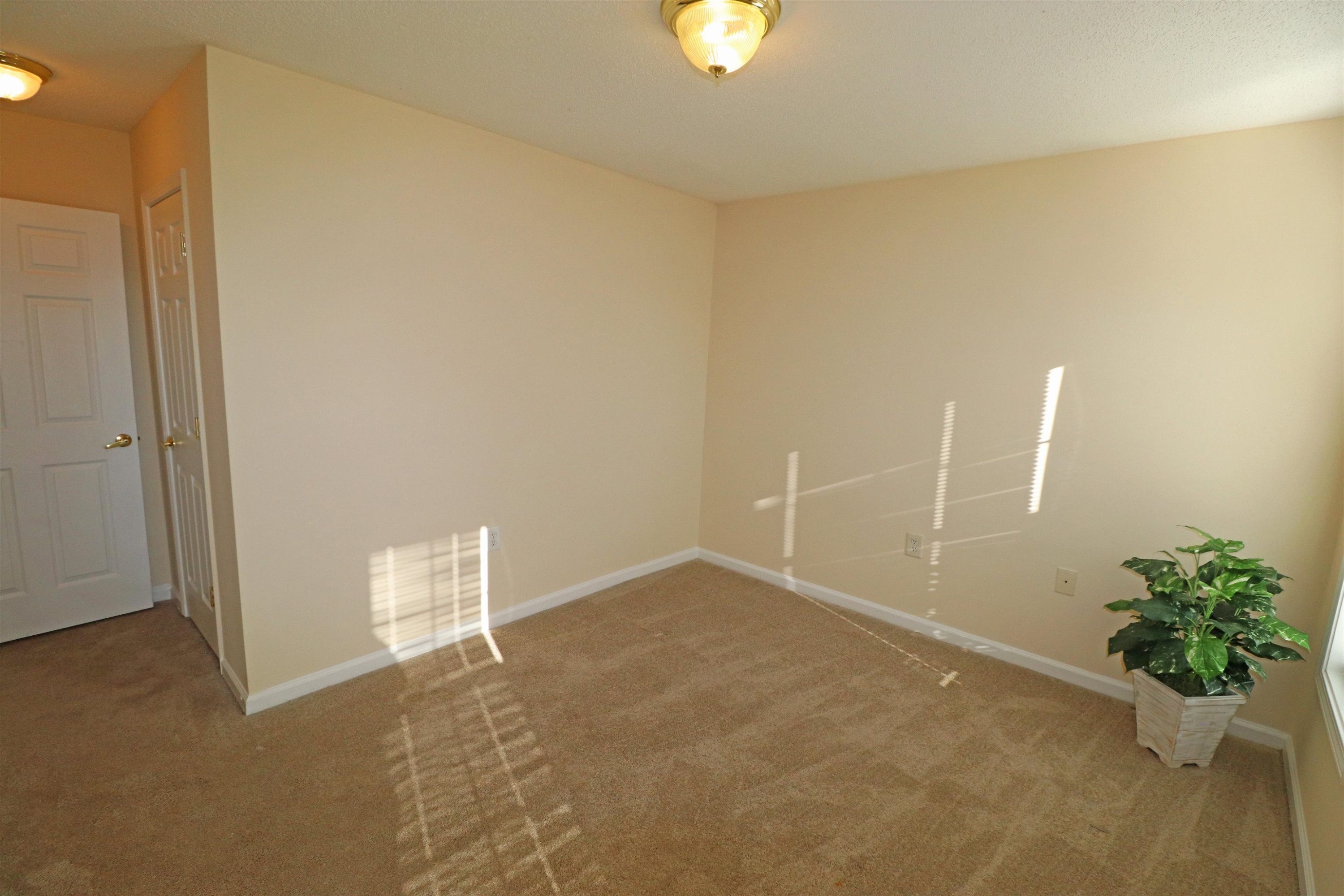11371 Involute Place, Unit 103 Raleigh, NC 27617 - Photo 26 of 34 an empty room with potted plants