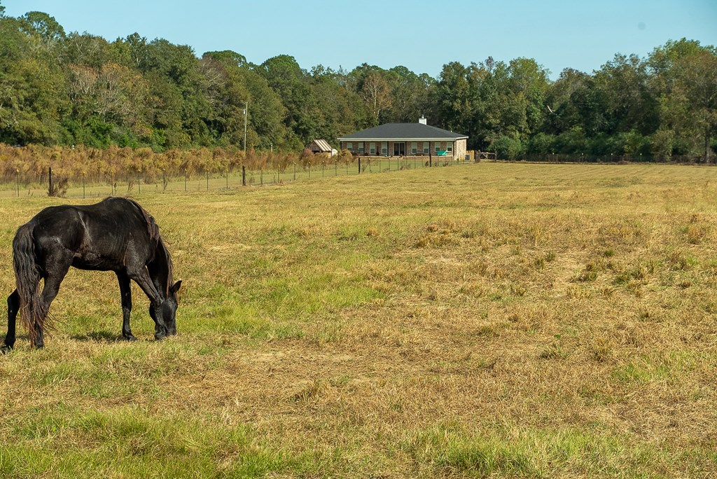 0 J B J B Jackson Road Webb, AL 36376 - Photo 4 of 38