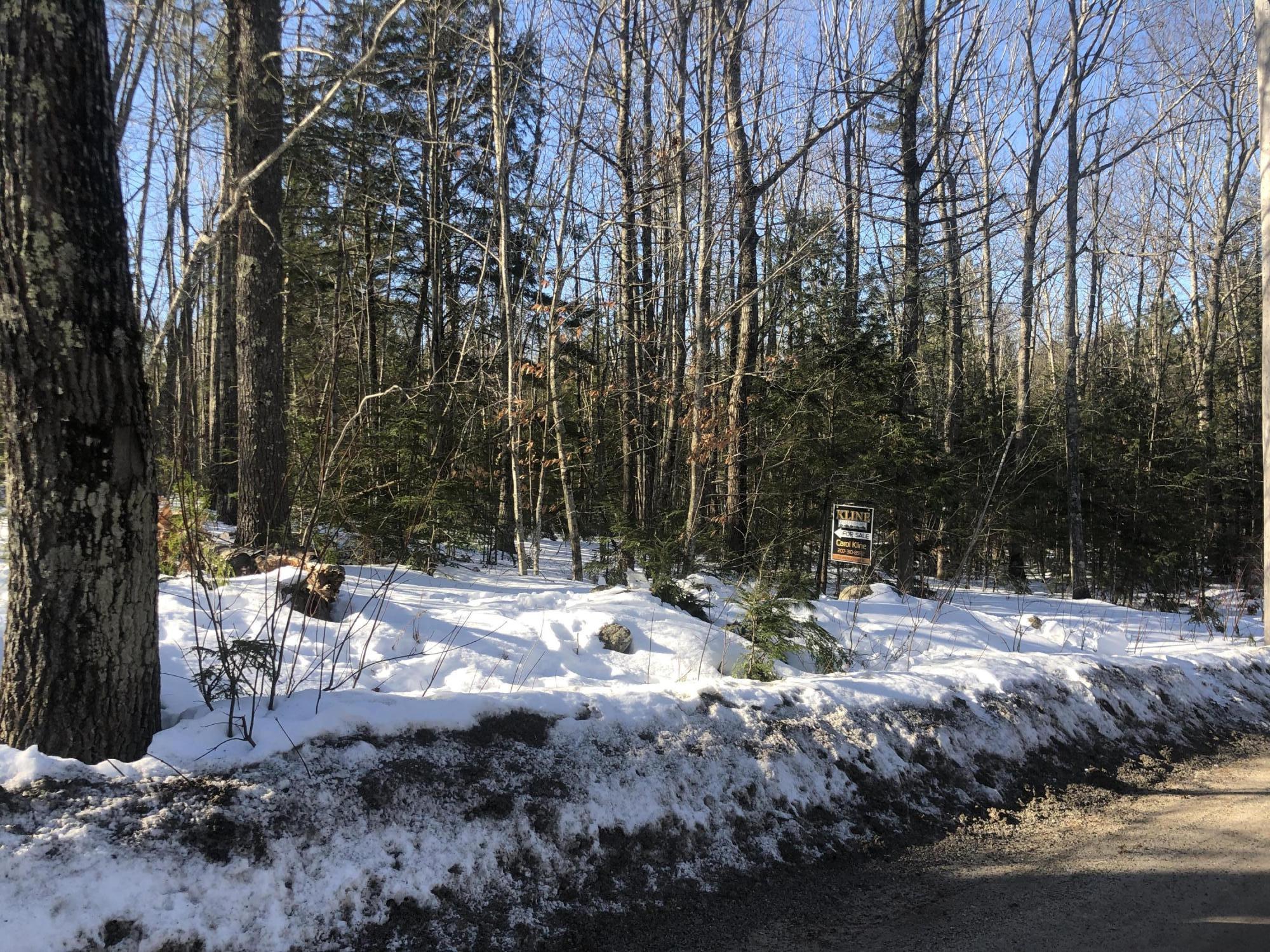 0 Nason Road Gorham, ME 04038 - Photo 1 of 4 IMG_1193