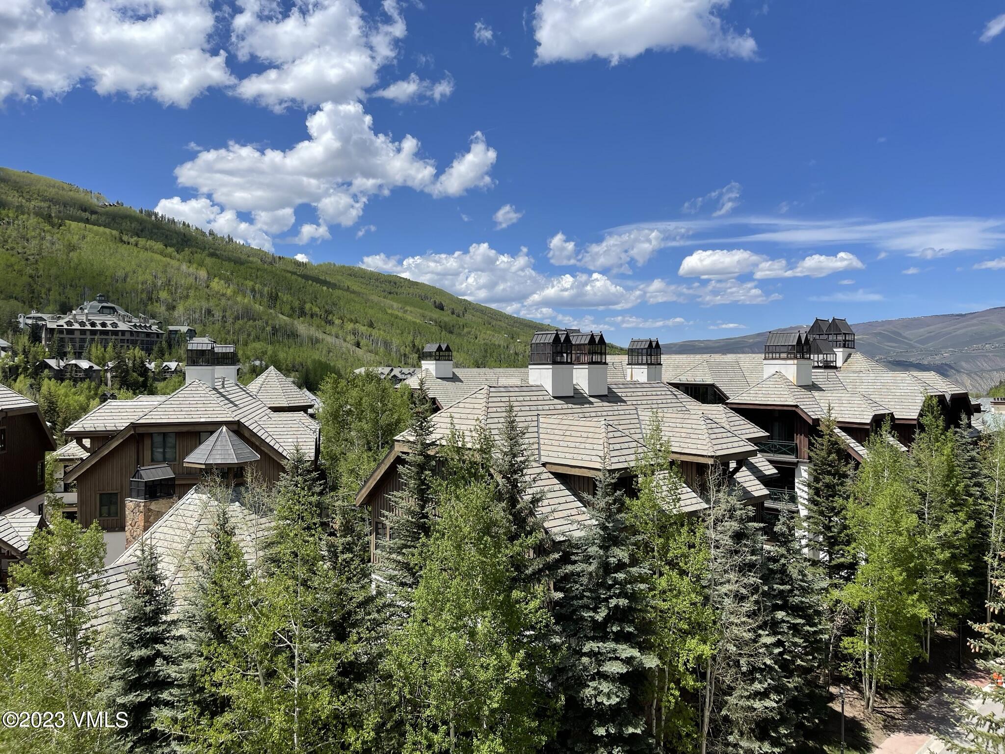 210 Offerson Road, Unit 209 WEEK 30 Beaver Creek, CO 81620 - Photo 4 of 27 a view of a garden with houses