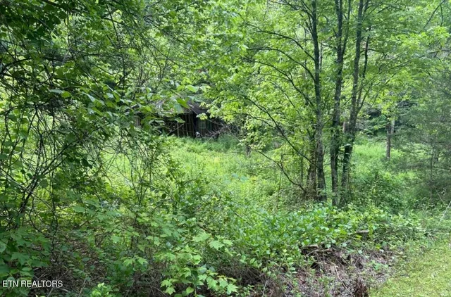 $225,000 | 4438 Bruce Ogle Way, Pigeon Forge, TN 37862