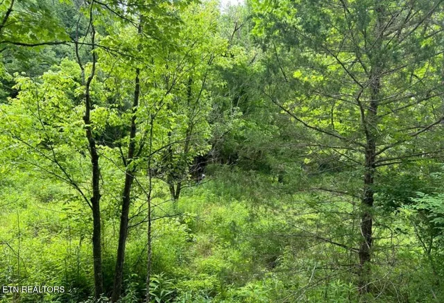 $225,000 | 4438 Bruce Ogle Way, Pigeon Forge, TN 37862