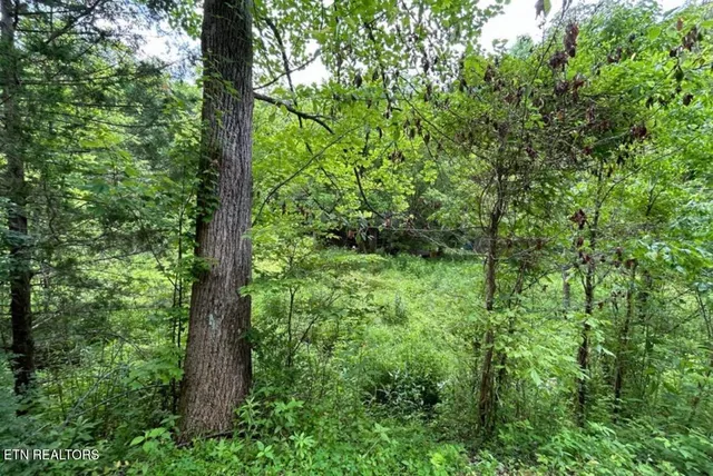 $225,000 | 4438 Bruce Ogle Way, Pigeon Forge, TN 37862