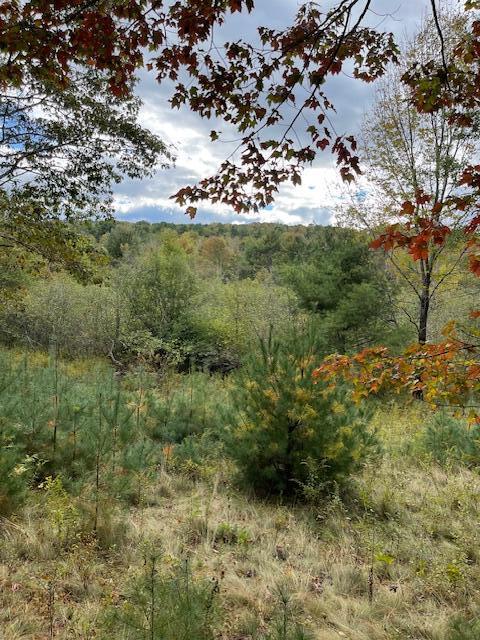 Map4-lot3 East Bucksport Road Orrington, ME 04474 - Photo 15 of 22