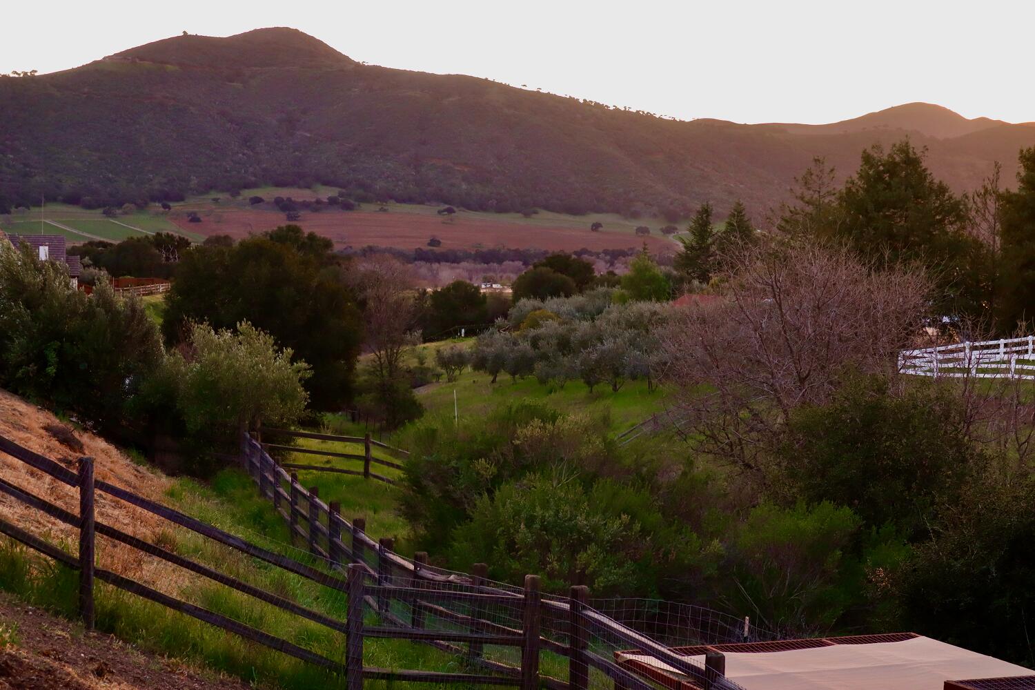 720 Mesa Drive Solvang, CA 93463 - Photo 37 of 44 IMG_0772