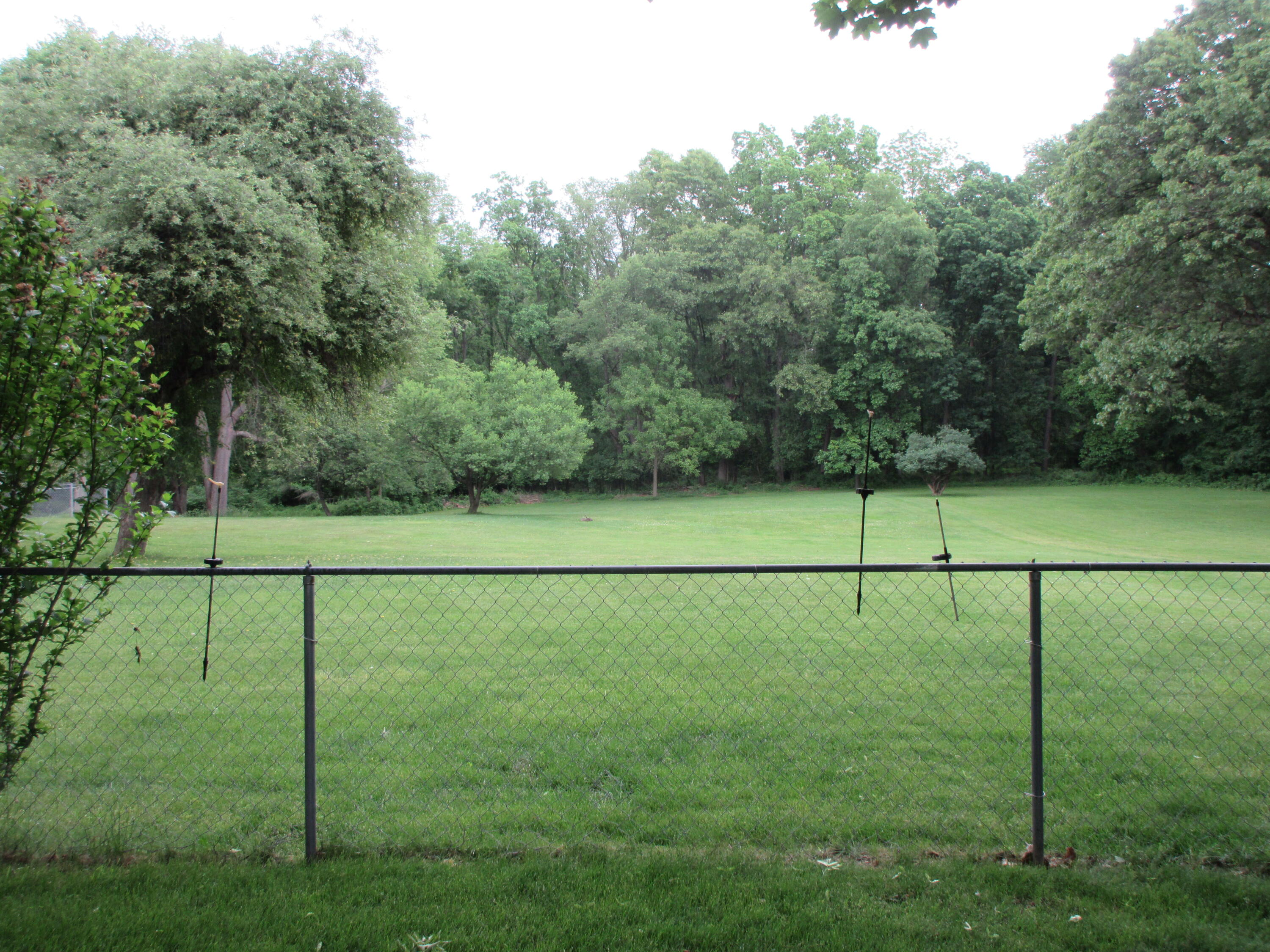3353 Reynolds Road Jackson, MI 49201 - Photo 39 of 43 IMG_0337
