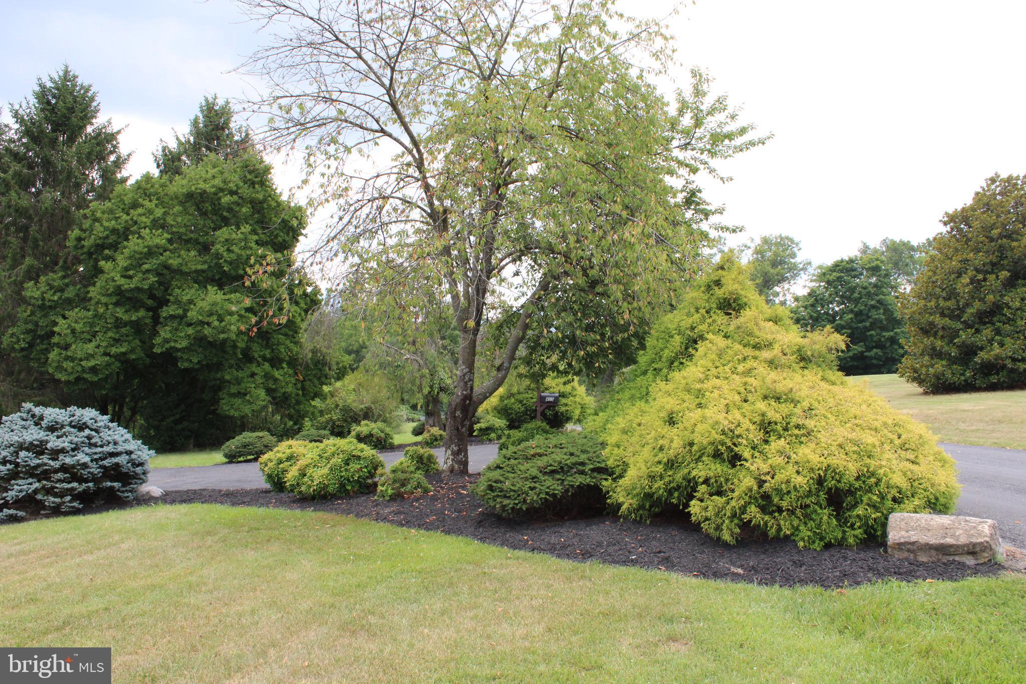 405 Spring Hollow Road Woodstock, VA 22664 - Photo 98 of 100 Gallery Image 98