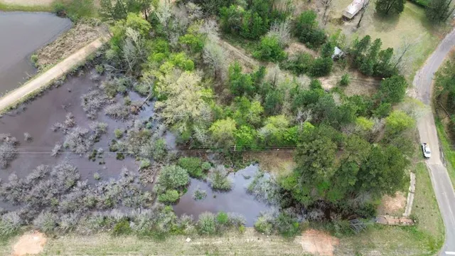 a view of a lake with large trees