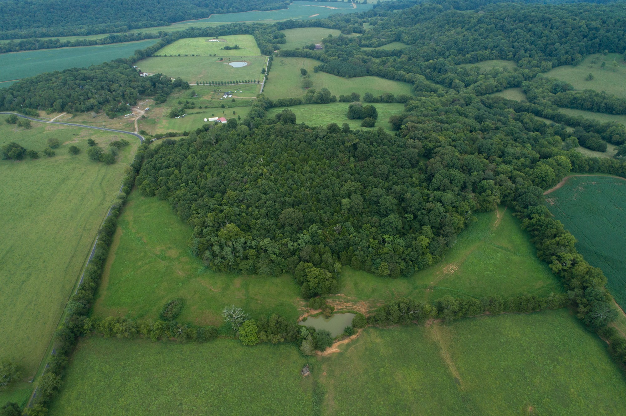 266 Locke Road Pulaski, TN 38478 - Photo 2 of 34 Gallery Image 2