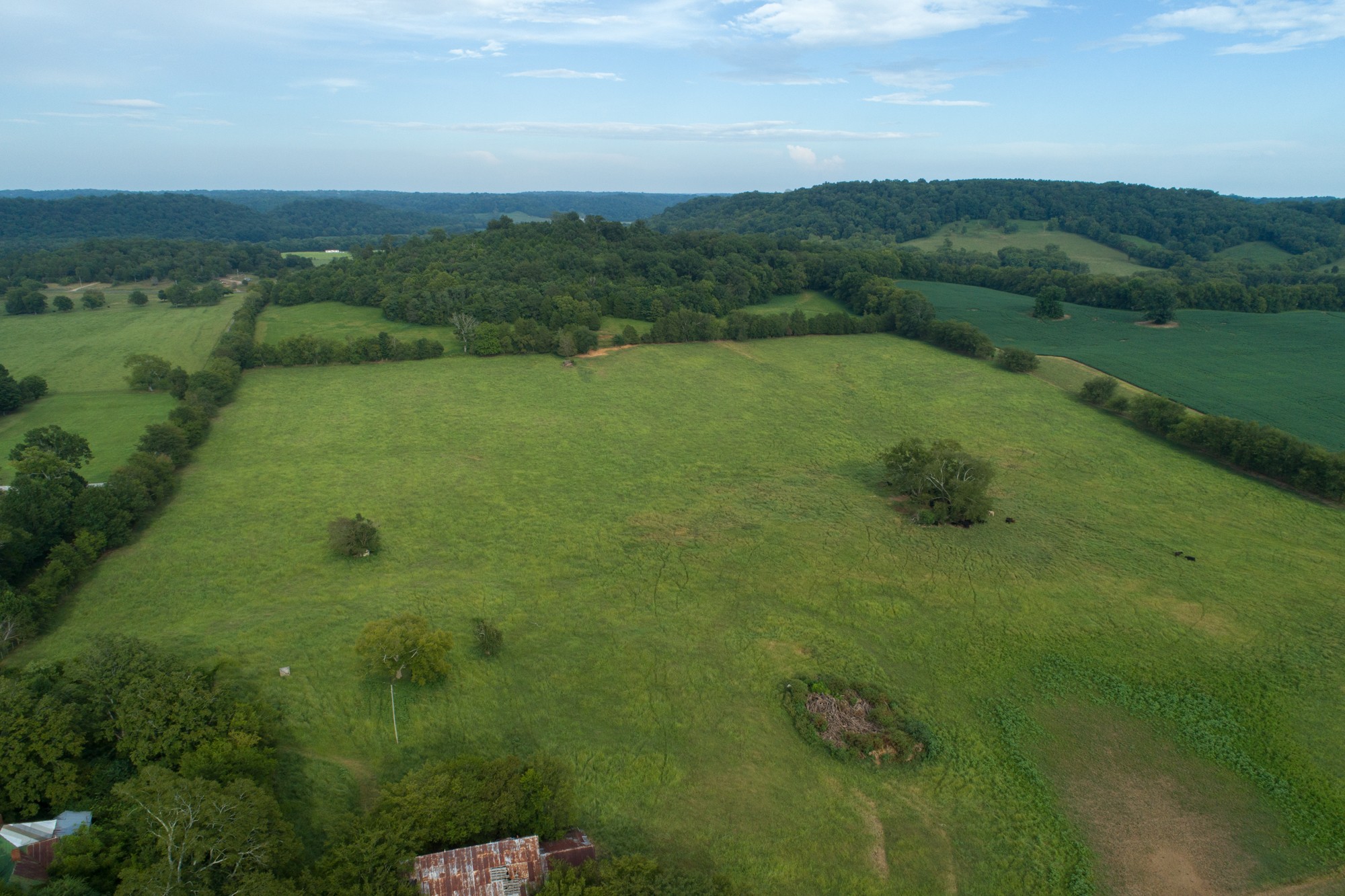 266 Locke Road Pulaski, TN 38478 - Photo 11 of 34 Gallery Image 11