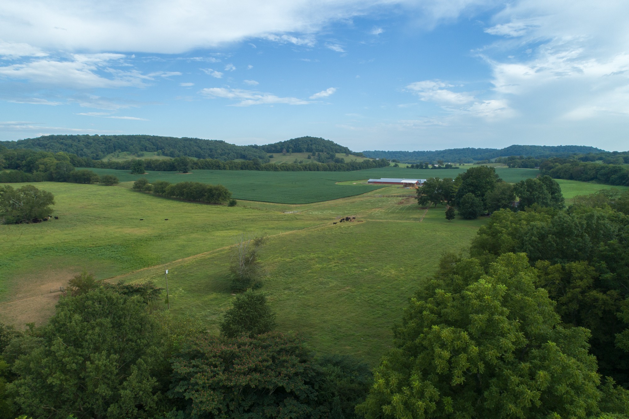 266 Locke Road Pulaski, TN 38478 - Photo 12 of 34 Gallery Image 12