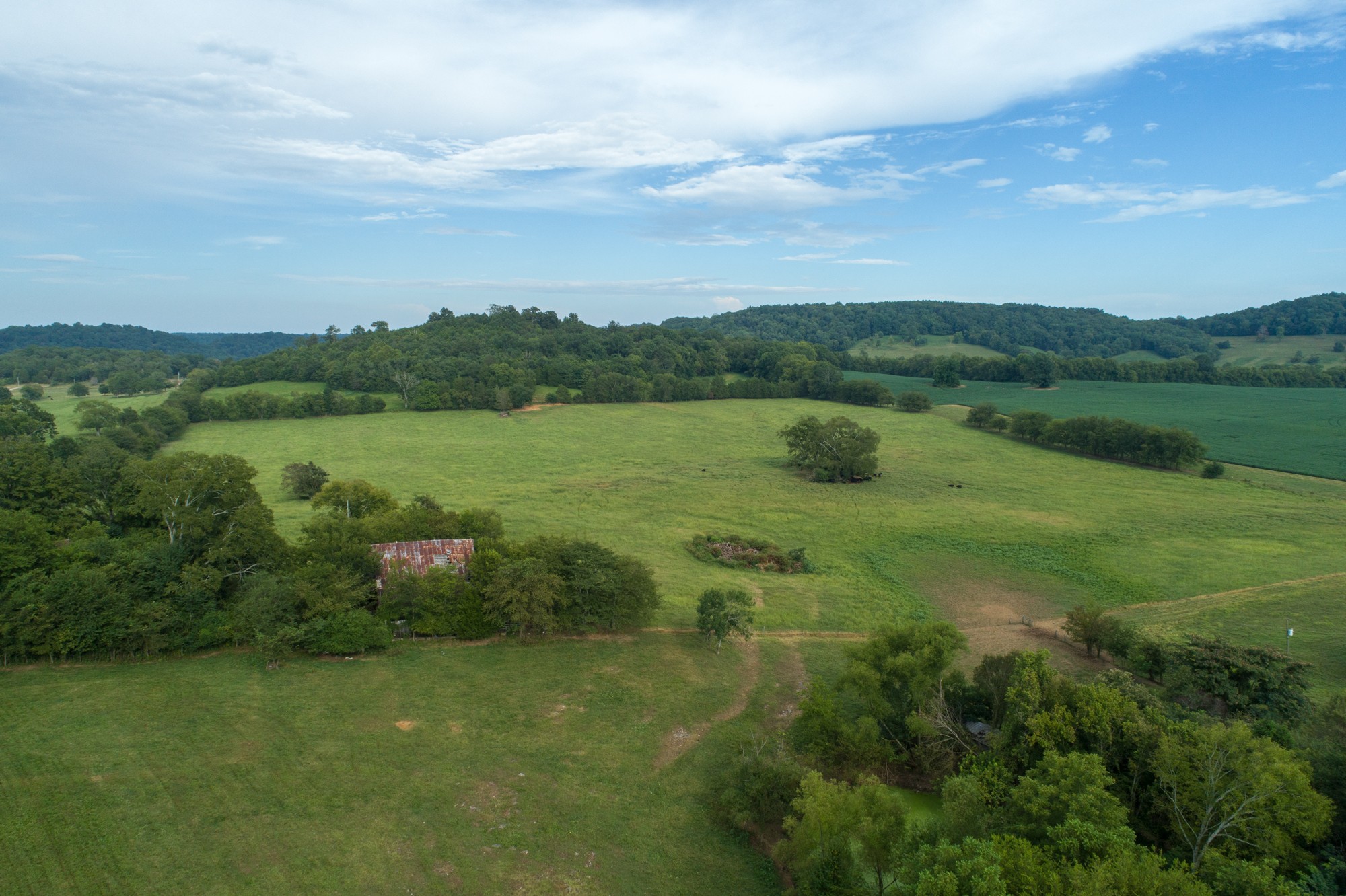 266 Locke Road Pulaski, TN 38478 - Photo 13 of 34 Gallery Image 13