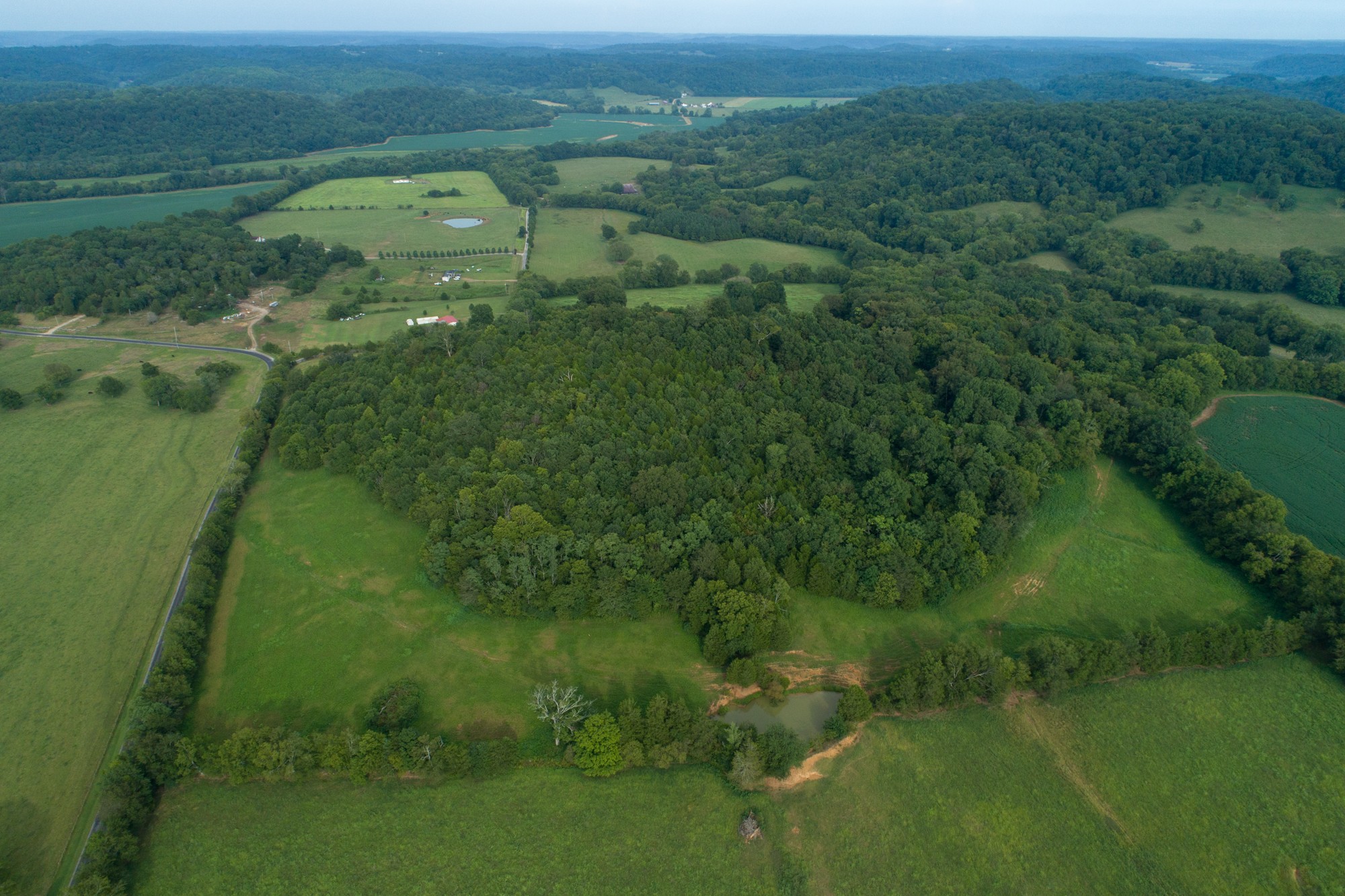 266 Locke Road Pulaski, TN 38478 - Photo 16 of 34 Gallery Image 16