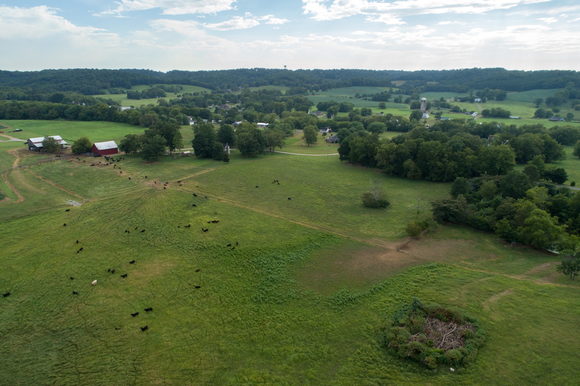 266 Locke Road Pulaski, TN 38478 - Photo 3 of 34 Gallery Image 3