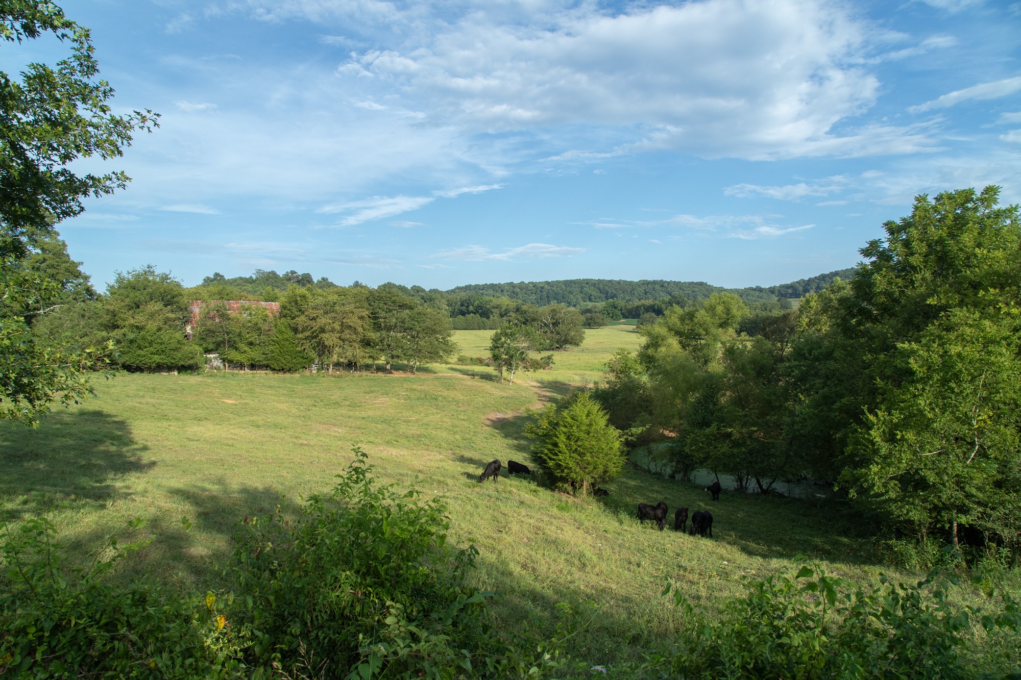 266 Locke Road Pulaski, TN 38478 - Photo 21 of 34 Gallery Image 21