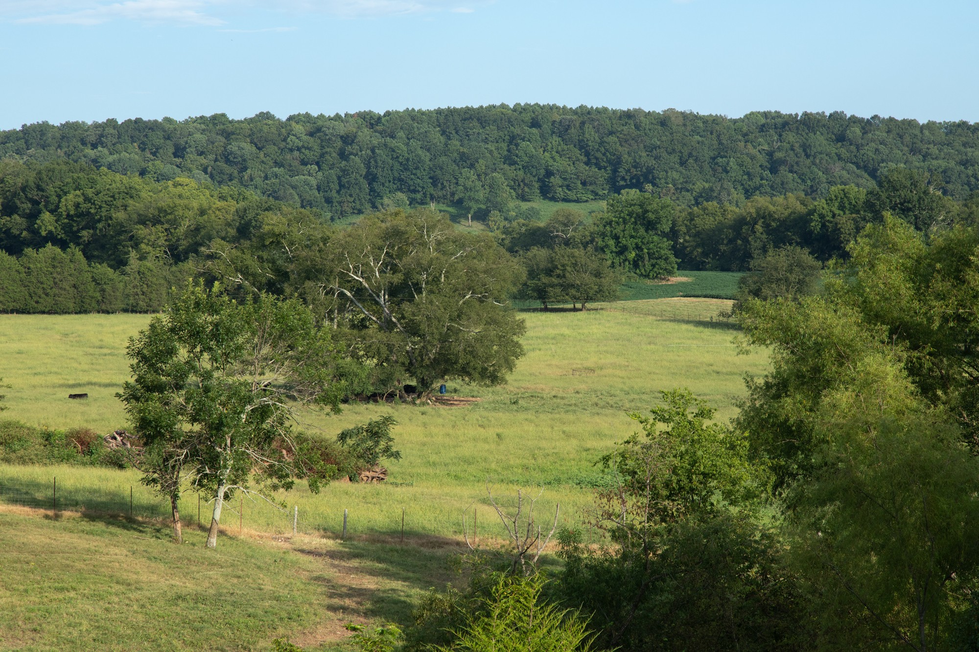 266 Locke Road Pulaski, TN 38478 - Photo 22 of 34 Gallery Image 22