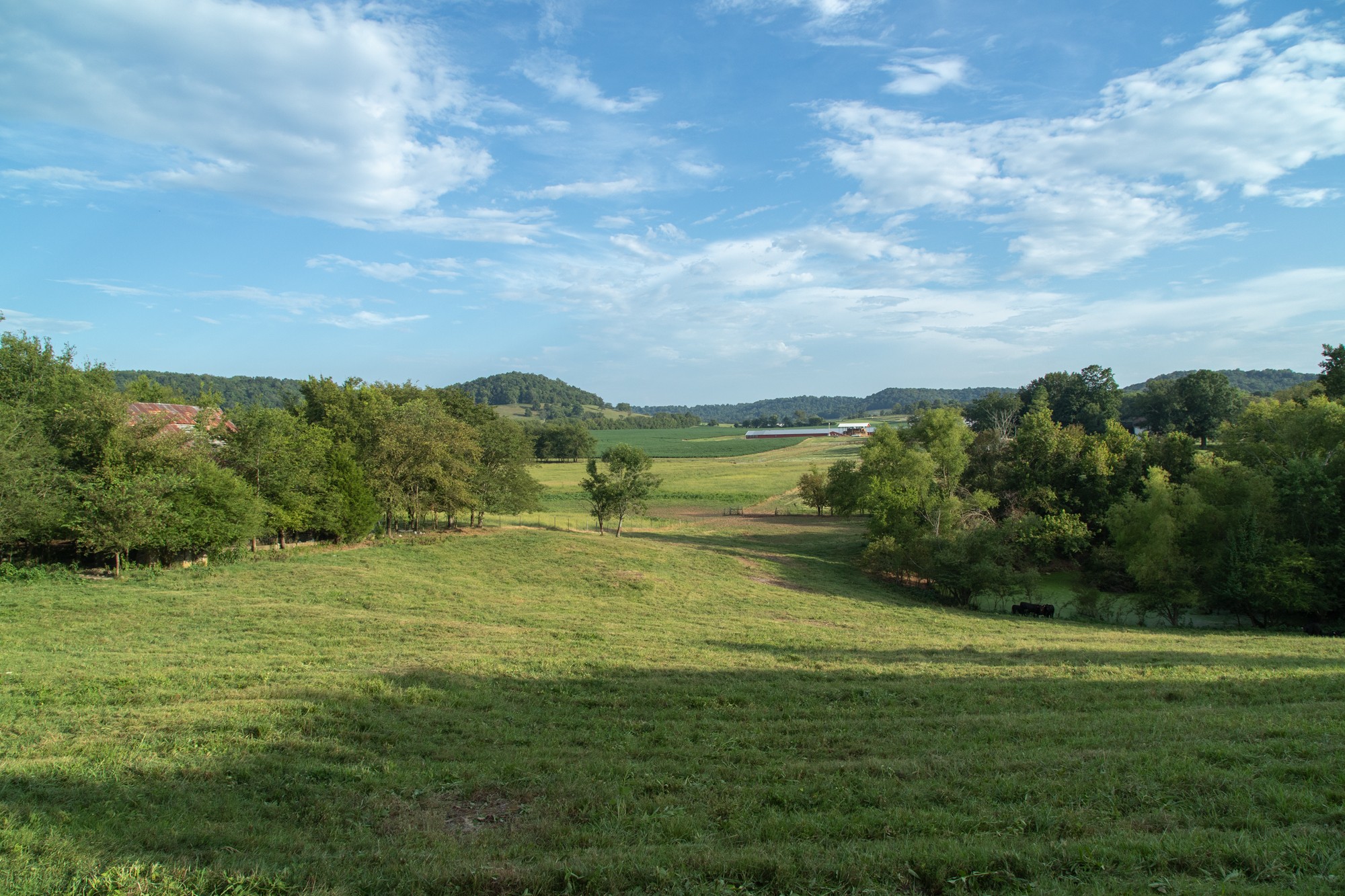266 Locke Road Pulaski, TN 38478 - Photo 24 of 34 Gallery Image 24