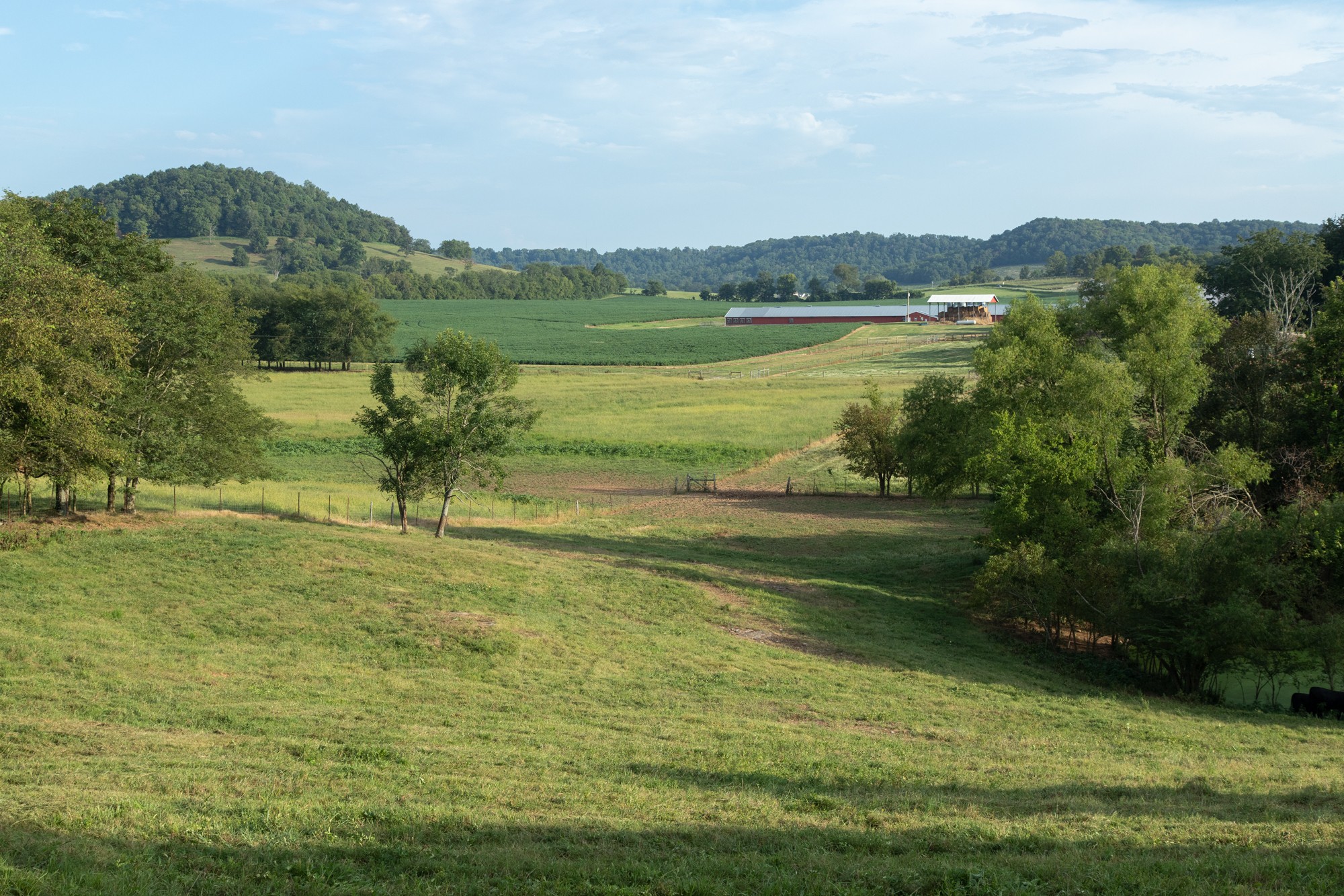 266 Locke Road Pulaski, TN 38478 - Photo 25 of 34 Gallery Image 25