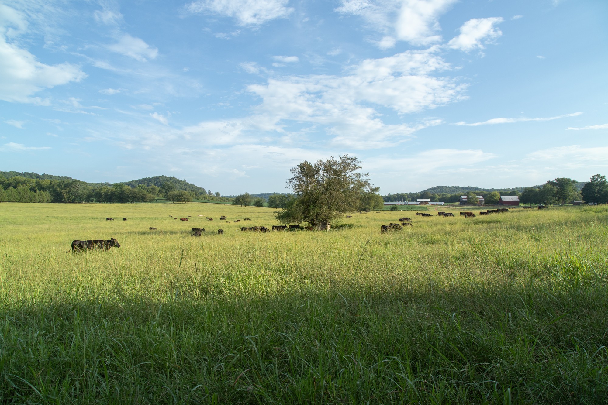 266 Locke Road Pulaski, TN 38478 - Photo 30 of 34 Gallery Image 30