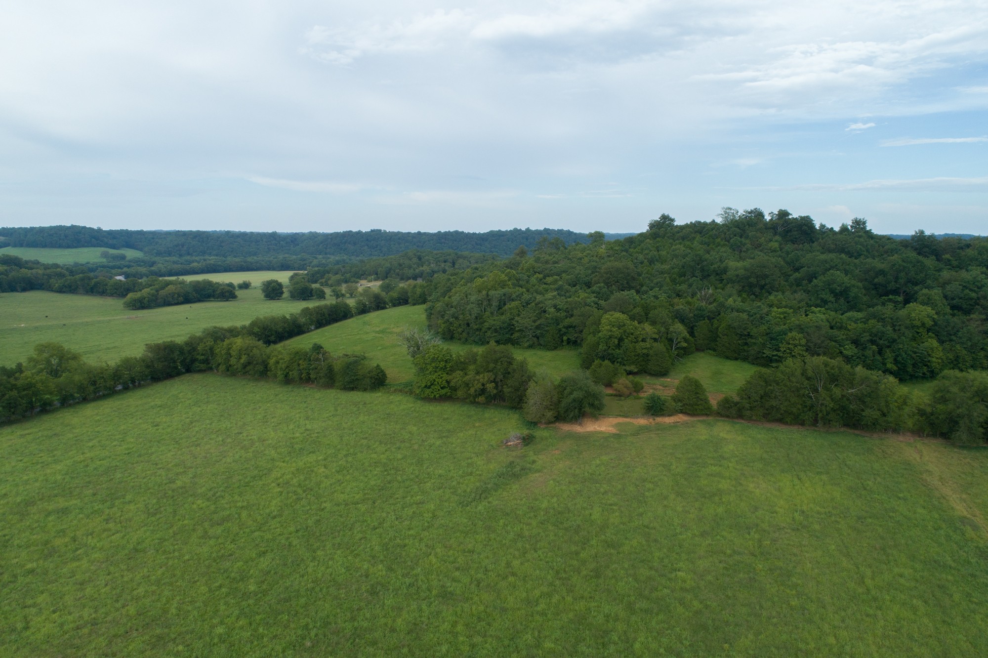 266 Locke Road Pulaski, TN 38478 - Photo 4 of 34 Gallery Image 4