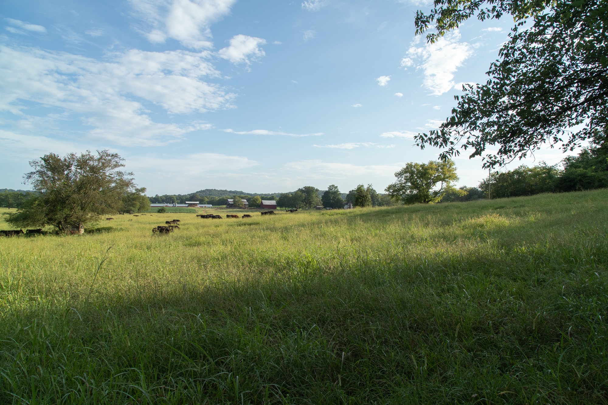 266 Locke Road Pulaski, TN 38478 - Photo 32 of 34 Gallery Image 32