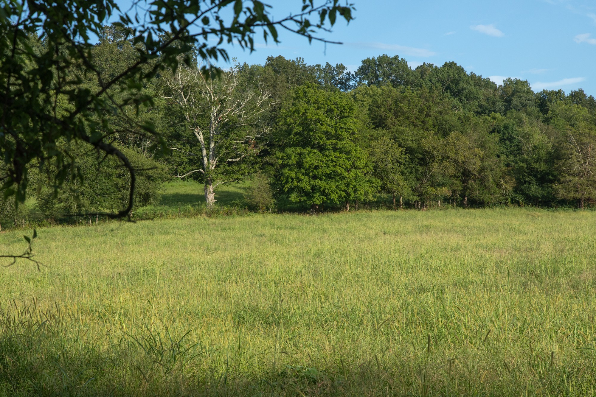 266 Locke Road Pulaski, TN 38478 - Photo 33 of 34 Gallery Image 33