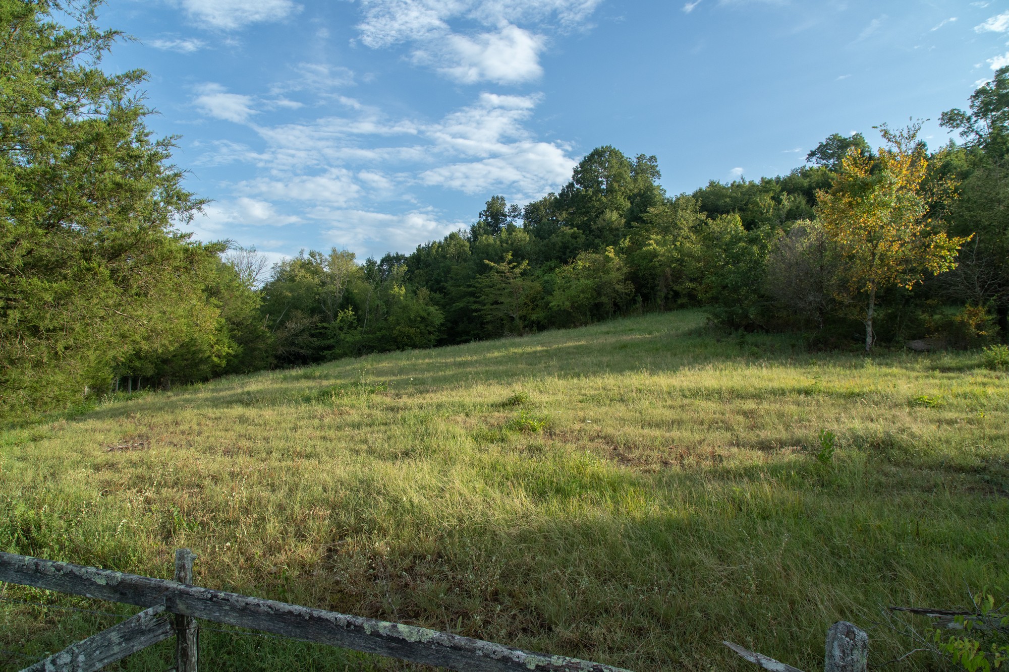 266 Locke Road Pulaski, TN 38478 - Photo 34 of 34 Gallery Image 34