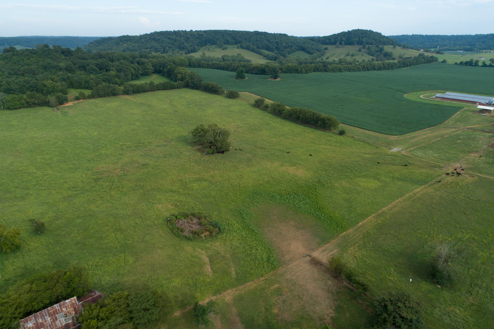 266 Locke Road Pulaski, TN 38478 - Photo 10 of 34 Gallery Image 10